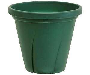 ��a�v���X�`�b�N ���͂蔫 6�� 1.8L �_�[�N�O���[�� 1��