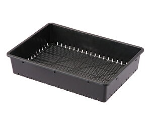 AbvEFA[ c 51^ X~O[ 1