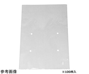 GtsR`[p SB-#20 13 4Hv 100 1(100) CP78C006