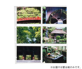 ハクバ写真産業 レポートアルバムDX用替台紙 Lサイズ 1セット（10シート入） 1セット(10シート入)