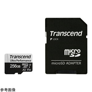 gZh microSDJ[h 256GB 1 TS256GUSD340S