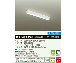 ����d�@ LED�L�b�`�����C�g�i�V��E�Ǖt�j12W 1�� DXL-81198