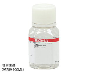 VO}Ahb`WpiSigma-Aldrichj זE|{p@100mL 1{ W3500-100ML