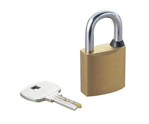 GR ESL-RPDΉ 싞 fBvL[dl 1pbN ESL-NKD