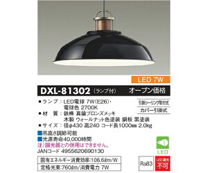 ����d�@ LED�y���_���g���C�g�i�u���b�N�Z�[�h�j 1�� DXL-81302