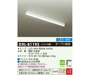 ����d�@ LED�L�b�`�����C�g�i�V��E�Ǖt�j48W 1�� DXL-81195