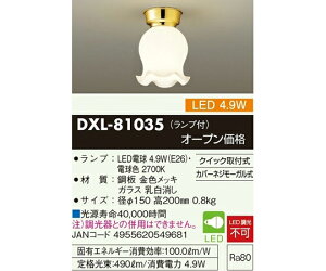 ����d�@ �����ցELED���^�V�[�����O���C�g �������� 1�� DXL-81035