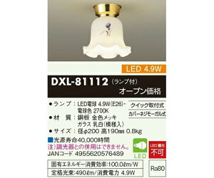 ����d�@ LED���^�V�[�����O���C�g �����ցE�L���Ȃǁi�͗l����Z�[�h�j 1�� DXL-81112