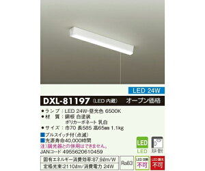 ����d�@ LED�L�b�`�����C�g�i�V��E�Ǖt�j24W 1�� DXL-81197