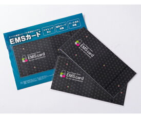 メディカル・エイド スキミング防止＆磁気データ保護用 EMSカード 長財布用 B 2枚組 1個(2枚組入) EMSCARD-PLB-02