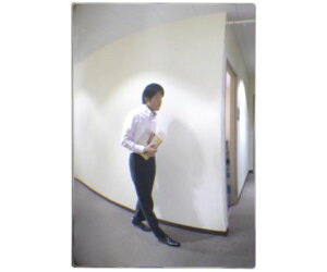 �R�~�[ 230x330mm �ʘH�p�~���[(�Б��p/���ʃe�[�v) 1�� EA724ZM-2