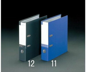 GXR A4/S^ o[A[`t@C() 1 EA762CP-12