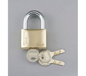 GXR 40mm V_[싞(fBvL[) 1 EA983SZ-40