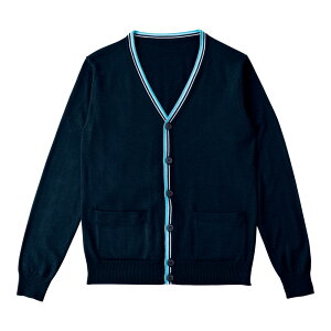 J[V[JV} J[fBKiC{[j  SS 1