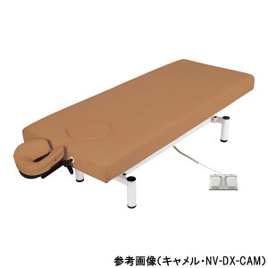 tBteBEBWi[ d~xbh L 1 NV-DX-CAM(W70)