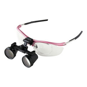 v~AvXWp v~A[y Z^[tBbNX^Cv 3{ sN 1 FC-0151P