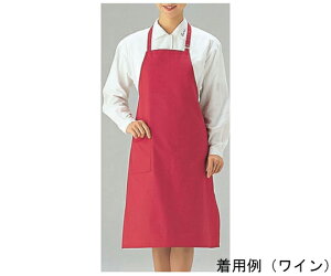 ԏꔒߓX Gv ubN 1 CT2503-9 ubN