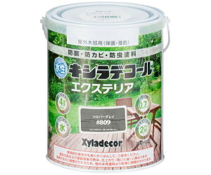 JynsIiALESCOj LVfR[ GNXS Vo[OC 0.7L 1 #00047670260000