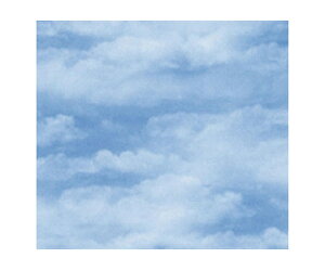 xx bsO  NEhiu[j S 300 1P[X(300) 733