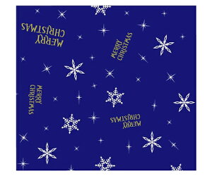 xx bsO  Xm[iCgilCr[j 4/6S 250 1P[X(250) 584