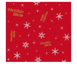 xx bsO  Xm[iCgibhj 4/6S 250 1P[X(250) 586