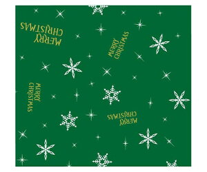 xx bsO  Xm[iCgiO[j 4/6S 250 1P[X(250) 588