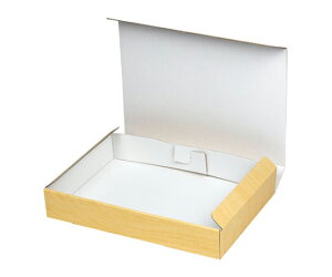 }jpbP[W  Ebh{bNXi͂j L 100 1P[X(100) SK-167