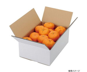 }jpbP[W ʗp A݂ n 5kg 60 1P[X(60) L-2232