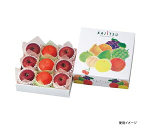 }jpbP[W  ʎpbg 270p 50 1P[X(50) L-448