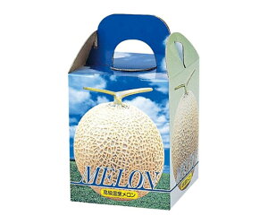 }jpbP[W ʗp sA 1 100 1P[X(100) L-339