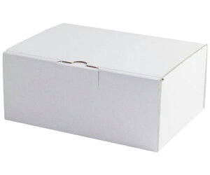 }jpbP[W  ͂z 9cm 100 1P[X(100) EE-91W