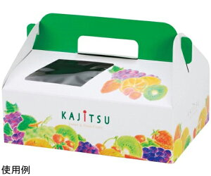 }jpbP[W  ʎp_CX 200 1P[X(200) L-2205