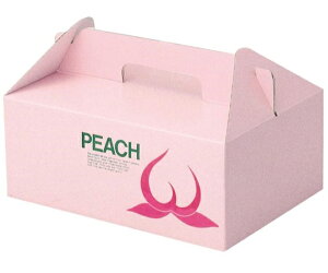 }jpbP[W ʗp  100 1P[X(100) L-170B