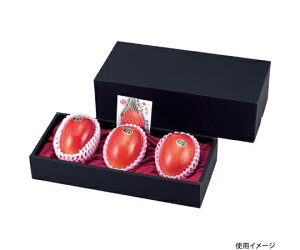 }jpbP[W ʗp }S[ 3  40 1P[X(40) L-2175