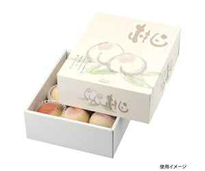 }jpbP[W ʗp g˂̓ 2 30 1P[X(30) L-2193