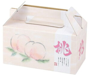 }jpbP[W ʗp ʎ2 100 1P[X(100) L-2282