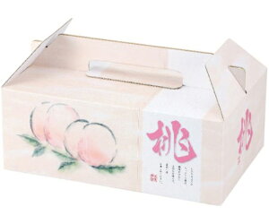 }jpbP[W ʗp ʎ6 100 1P[X(100) L-2284