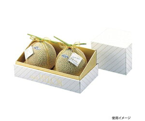 }jpbP[W ʗp 䎆2 30 1P[X(30) L-74