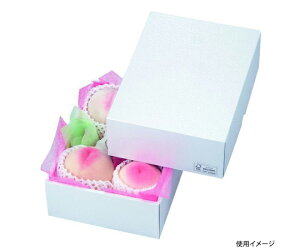 }jpbP[W ʗp p[22 FS 50 1P[X(50) LTO-22FS