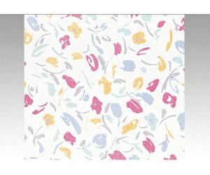 xx bsO  NA S 300 1P[X(300) 756