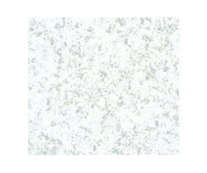 xx bsO  tXeBiO[j S 300 1P[X(300) 748