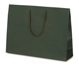 xx   T-Y J[Ntg O[ 100 1P[X(100) 1042