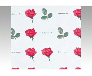 xx bsO  Ԃo  S 300 1P[X(300) 700