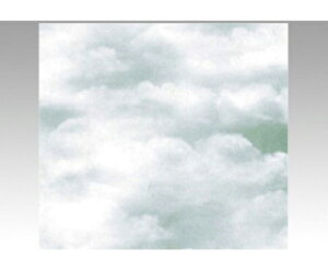 xx bsO  NEhiO[j S 300 1P[X(300) 734