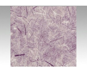 xx bsO  ʗij S 300 1P[X(300) 785