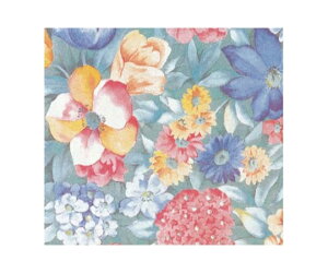 xx bsO  mX^WA S 300 1P[X(300) 759