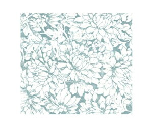 xx bsO  elY HS 300 1P[X(300) 479