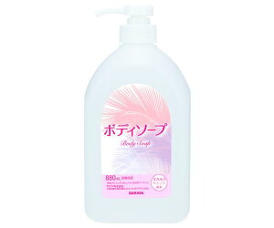 T {fB\[vpl֗e 880mL 1P[X(12) 1P[X(12) 65228