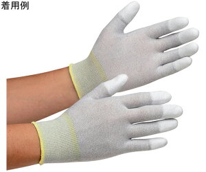 ~hS Ǝ iwR[eBOjLLTCY 10o/ 1(10o) MCG-601N-LL