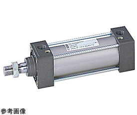コガネイ NEW　DYNA 入数:1個 DDAH80X700